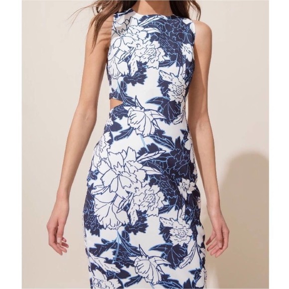 Yumi Kim Dresses & Skirts - Yumi Kim Show Time Dress Floral Side Cutout Sheath Midi Gramercy Park
